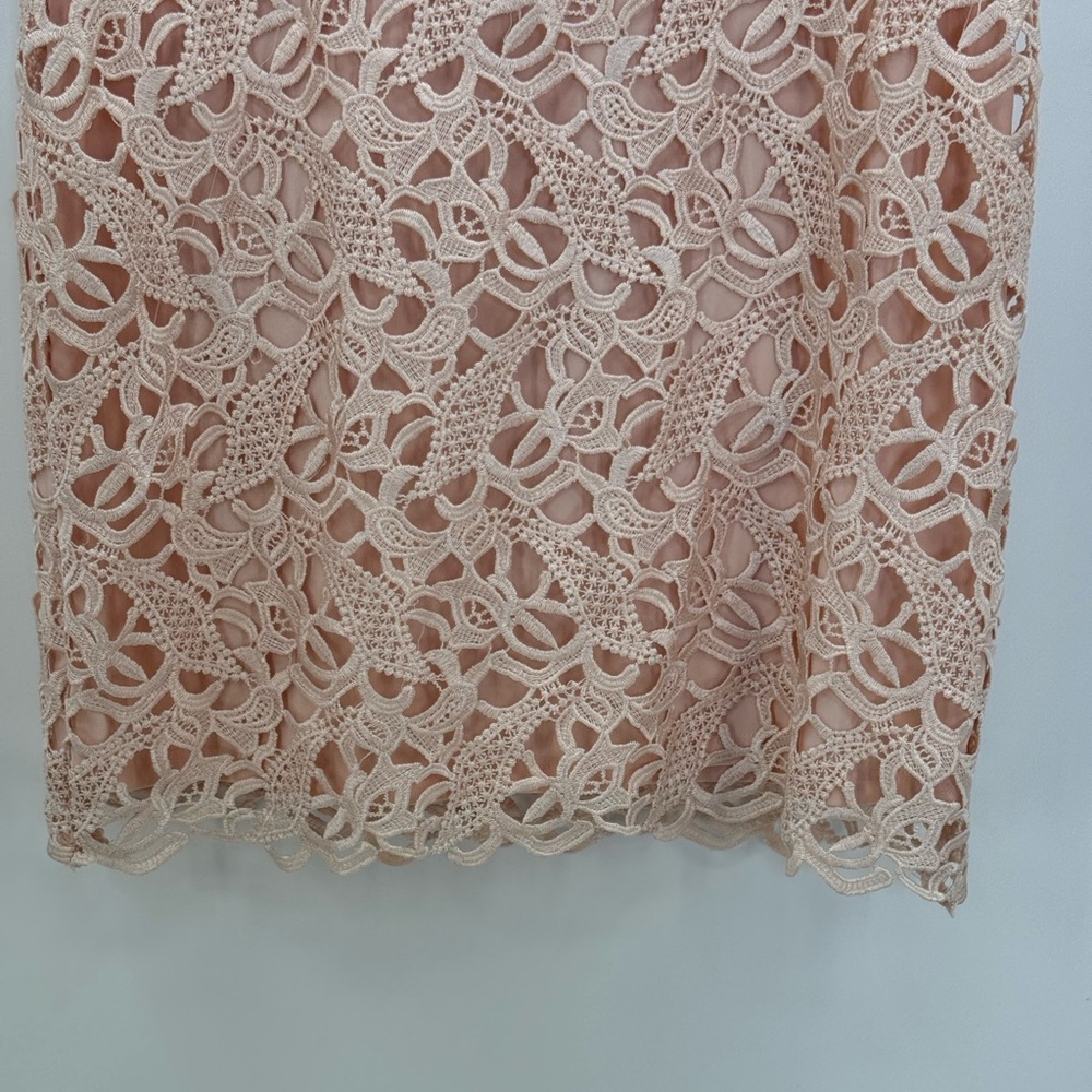 Lauren Ralph Lauren Blush Pink Lace Sheath V-Neck Sleeveless Cocktail Dress SZ 8 - Picture 10 of 15